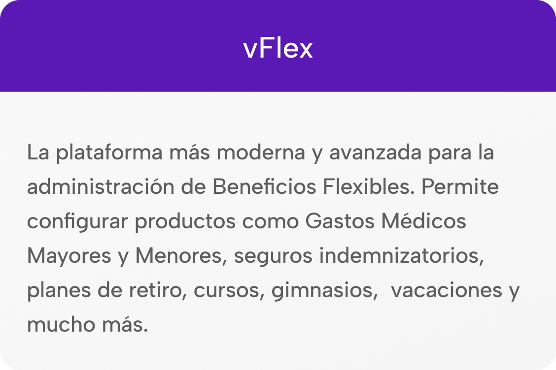 04_vflex_reverso (1)