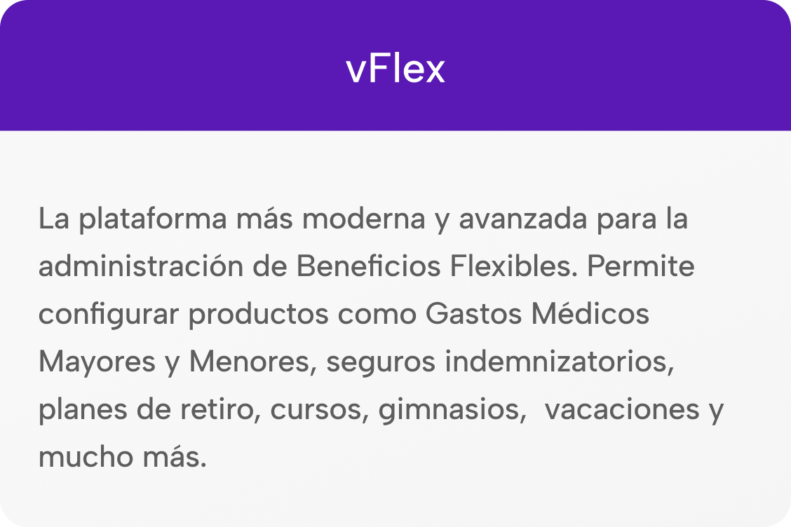 04_vflex_reverso